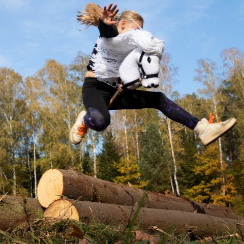 Hobby horse koń na patyku kiju dla dziecka duży A3