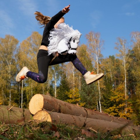 Hobby horse koń na patyku kiju dla dziecka duży A3