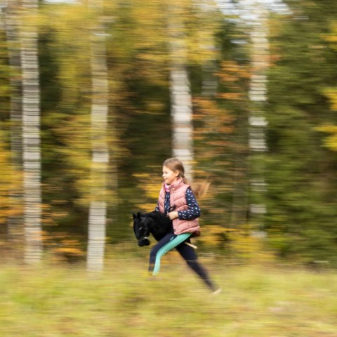 Hobby horse koń na patyku kiju dla dziecka duży A3