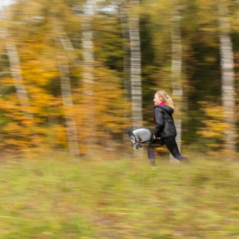 Hobby horse koń na patyku kiju dla dziecka duży A3